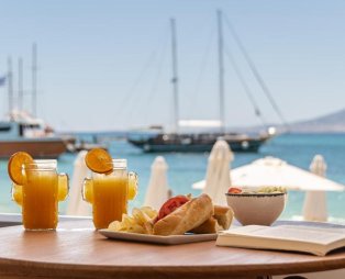 Cactus Suite: Seafront escape in Agia Anna Naxos