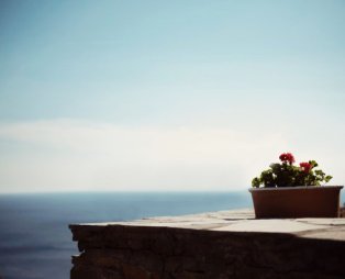 Ταξίδι στην Άνδρο και… ονειρεμένες διακοπές στη Villa Αλισάχνη! [εικόνες]