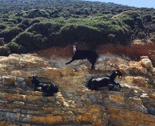 Μπρος γκρεμός και πίσω... Αμοργός (pics)