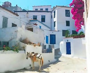 Ύδρα: Έρωτας με την πρώτη επίσκεψη
