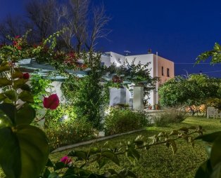 Kallisti Studios & Apartments: Διαμονή με άνεση και στυλ στη Σκύρο