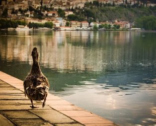 Καστοριά, η πόλη με τη γαλήνια αύρα!