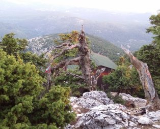 Η Πάρνηθα έχει πολλά περισσότερα που αξίζει να δείτε!