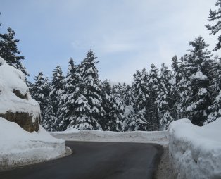 Εξόρμηση για σκι στον Παρνασσό