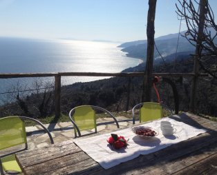 Villa Asterina
