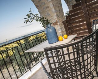 The Olive Yard