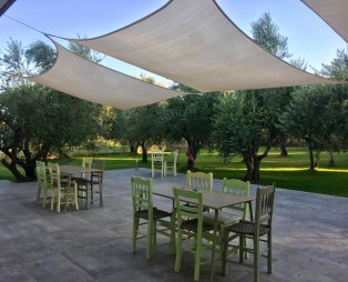 Anastasios Olive Garden Apartments