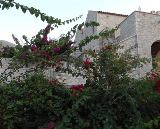 Althea Village