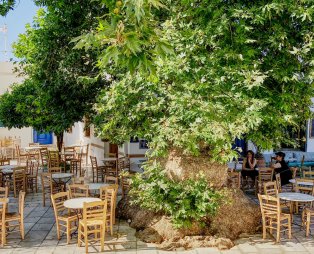 Το ελληνικό νησί που προτείνουν οι New York Times για διακοπές μακριά από τα πλήθη