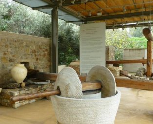 Σπάρτη: Ταξίδι στον μυθικό τόπο των ηρώων και του πολιτισμού