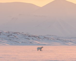 North Pole Igloos: To βορειότερο ξενοδοχείο του κόσμου! (pics)