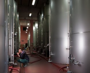 Zoinos Winery: Εκλεκτά οινικά προϊόντα από τη Ζίτσα Ιωαννίνων