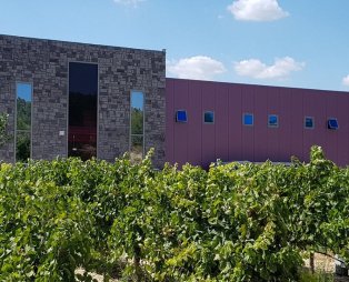 Κτήμα Γκόφα: Μια ξεχωριστή οινική εμπειρία στη Νεμέα