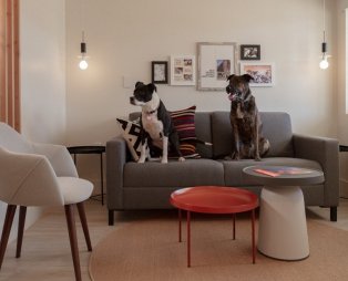 Αυτό είναι ίσως το πιο pet friendly ξενοδοχείο του κόσμου