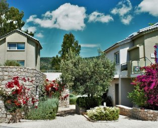 Lavender Cove: Ειδυλλιακή απόδραση μια ανάσα από την Αθήνα