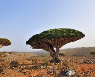 10 ανέγγιχτες γωνιές του πλανήτη