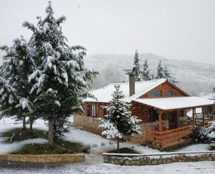 Orias Guesthouse & Farm: Ζήστε αξέχαστες εμπειρίες στην ορεινή Αχαΐα