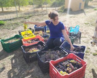 Orias Guesthouse & Farm: Ζήστε αξέχαστες εμπειρίες στην ορεινή Αχαΐα