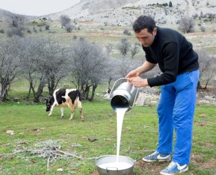 Αχαϊκό Χωριό: Ένας ξεχωριστός ορεινός προορισμός μόλις δύο ώρες από την Αθήνα