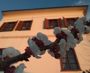 Αρχοντικό Κανταρτζή