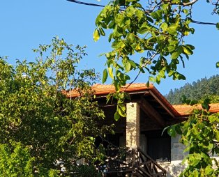 Mountain Villa