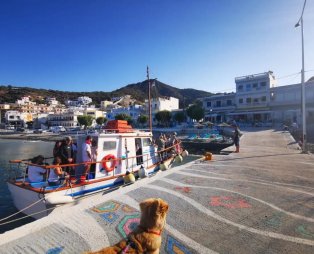 Nikos Boat: Ανακαλύψτε την άγρια ομορφιά της Καρπάθου με μια θαλάσσια εκδρομή