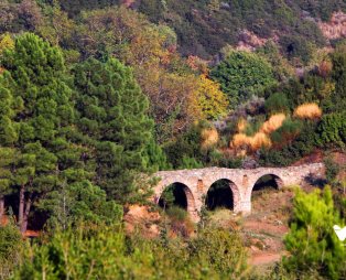 Μεταξοχώρι (Πηγή: Δήμος Αγιάς)