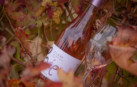 These are the best wines for autumn