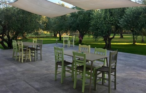 Anastasios Olive Garden Apartments