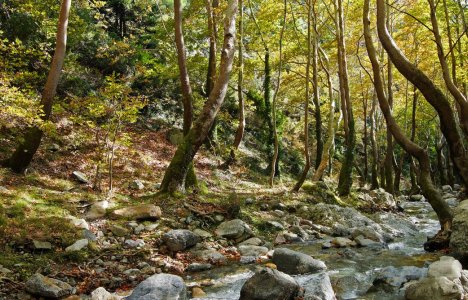 5 φθινοπωρινές μονοήμερες μια ανάσα από την Αθήνα
