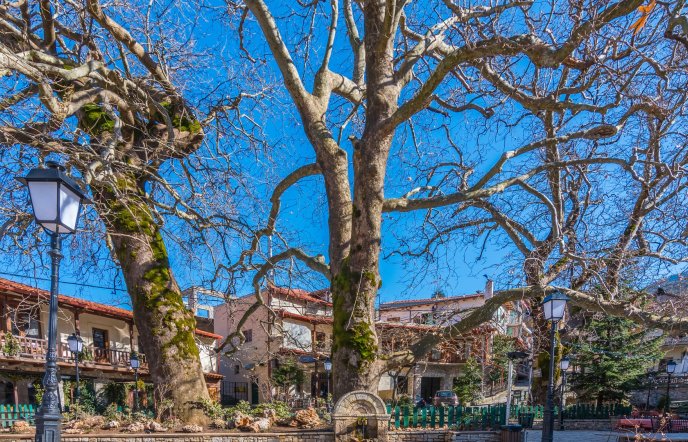 Tips by Markos: Holidays in Agoriani filled with adrenaline, fir trees and incredible food!