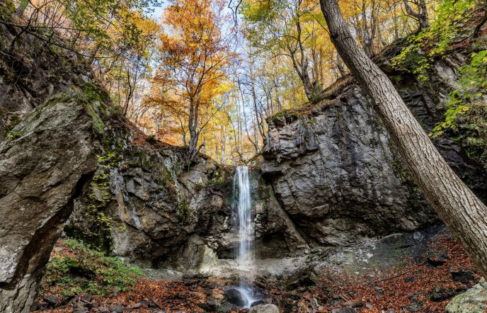 Fraktos Forest: One of the most unspoiled and enchanting places in Greece
