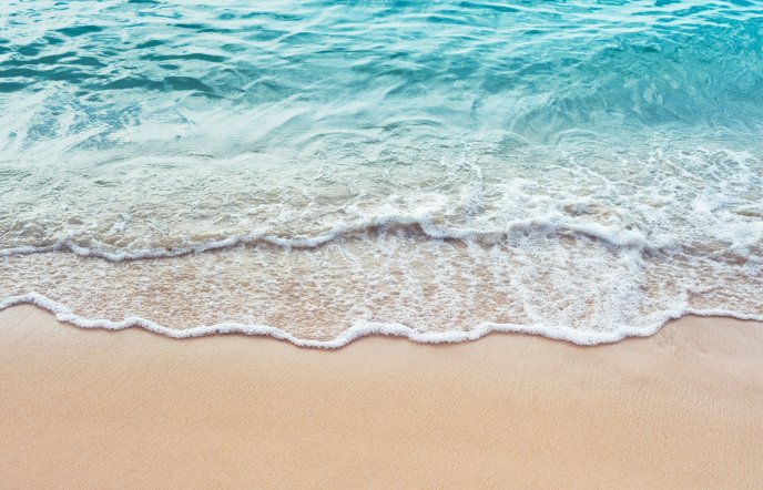 Οι 16 παραλίες σε Αττική και Εύβοια που πρέπει να αποφύγετε - Δείτε την πλήρη λίστα