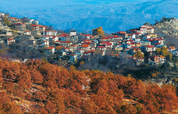Γρεβενά: Η πόλη των μανιταριών, των χωριών και των δασών (pics)