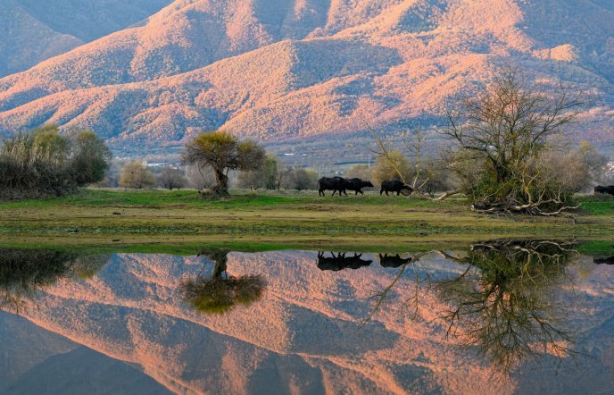 Lake Kerkini: A paradise for alternative holidays